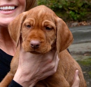 Belatarr Thirtynine Steps - 7 week portrait