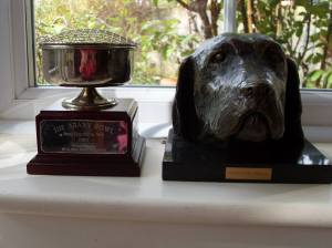 The HWVCGB Arany Bowl & Haunsberg Bronze.