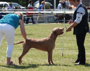 Billie's examination - (camera facing straight into the sun, unfortunately!)
