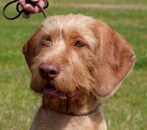 North gets ready for his close-up.