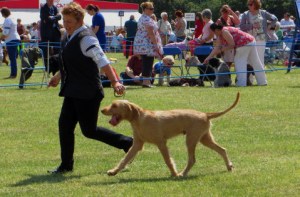 A very hot North on the move in the ring.