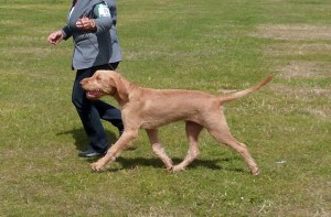 North shows off his smart movement.