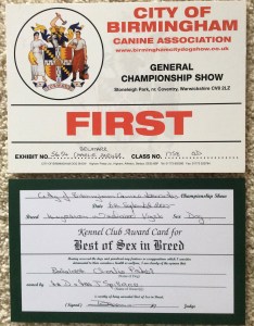 Charlie Best Dog certificate Birmingham