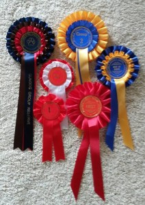 Charlie's Open Show wins