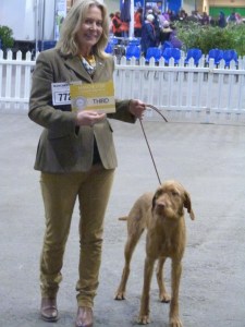 Belatarr Thirtynine Steps