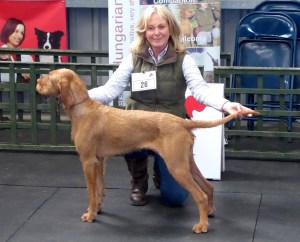 Belatarr Thirtynine Steps.