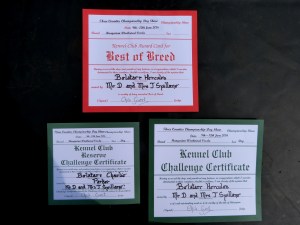 The boys big awards!