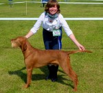 Herc BD at Southern&nbsp;Counties