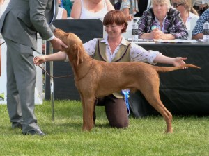 Jenny and Herc in the Group ring with judge Chris Bexon.