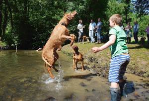 Mama Phoenix in full flight!