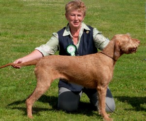 Belatarr Mahalia Jackson ShCM - Our New Champion!