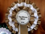Top Brood Bitch&nbsp;2016