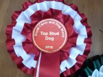 Top Stud Dog&nbsp;2016