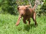 Esther on her way&nbsp;home