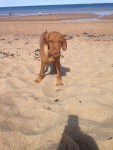 Esther on the beach at 3&nbsp;months