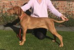 Iris at 5&nbsp;Months