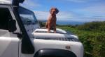 Rufus 1 on&nbsp;Landrover