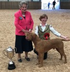 LUKA – BEST IN SHOW Sept&nbsp;2019